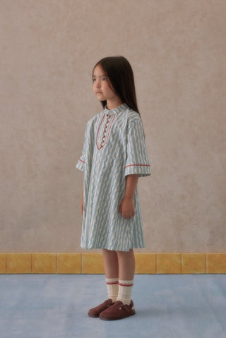 Desenli Biyeli Elbise