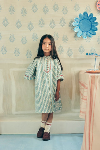 Desenli Biyeli Elbise